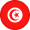 Country Flag